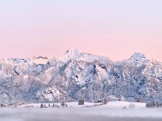 Ein Blick wie in rosa Zuckerwatte, aber eiskalt...