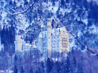 Ein wahres Märchen im Winter...Neuschwanstein..