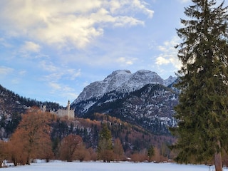 Schloss Neuschwanstein, nicht weit von uns entfernt..