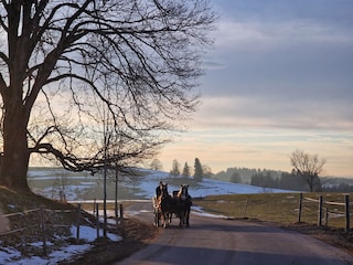 Ruhe und Frieden im März...
