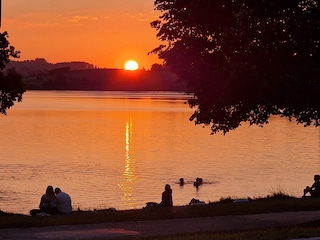 Romantische Abendstimmungen am Hopfensee