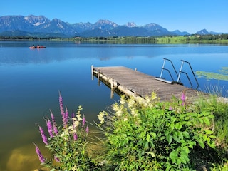 Frühling am Hopfensee im Mai...