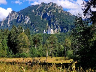 Schloss Neuschwanstein vom Schwanseepark..