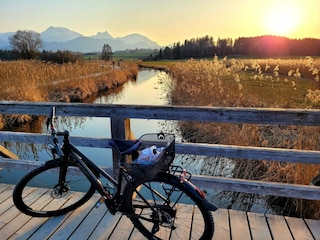 Radeln, auf herrlichen Uferrundwegen um alle Seen...