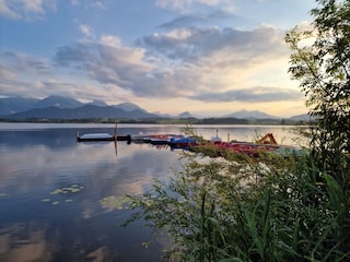 Dieser Panoramablick am Hopfensee macht süchtig...