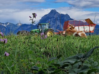 Julian fährt mit Ferienkindern frisches Gras holen