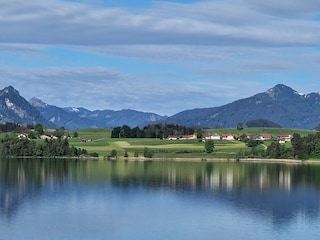 Mai Aussicht auf unser Zuhause am Hopfensee...