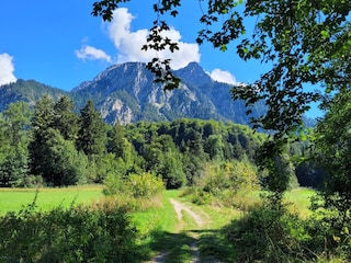 Superschöne Wanderwege in herrl. Seenlandschaft...
