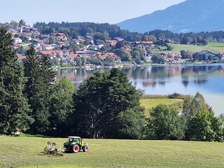 ...zum Hopfensee in 10 Minuten..