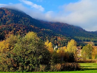 Der Oktober - für mich die schönste Zeit im Allgäu..