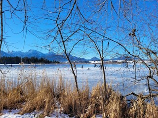 Einsvergnügen - im Winter auf den Hopfensee...