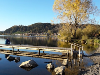 Der goldene Oktober am Hopfensee..