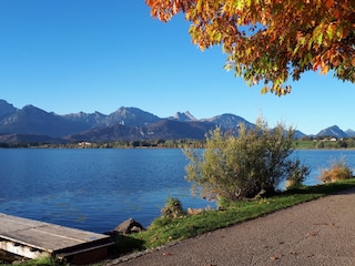 Herbstlicher Hopfensee (re. im Bild wohnen wir)