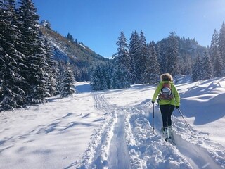 Apartment Hopferau Outdoor Recording 11