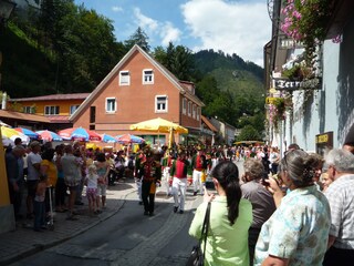 Chalet Stadl an der Mur Omgeving 31