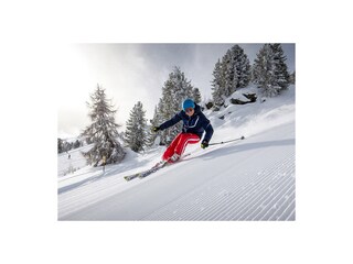 Chalet Stadl an der Mur Environment 36