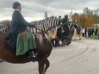 Appartement de vacances Andechs Environnement 36