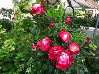 Appartement de vacances Andechs Enregistrement extérieur 9