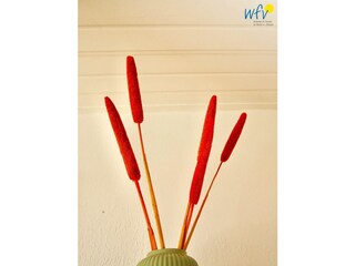 Vakantieappartement Wangerooge Buitenaudio-opname 8