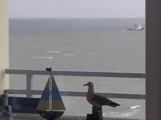 Appartamento per vacanze Borkum Registrazione all'aperto 4