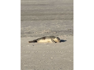 Bitte Abstand halten.