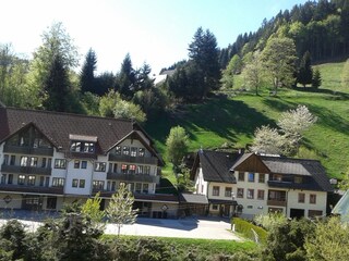 Zimmerausblick im Frühling