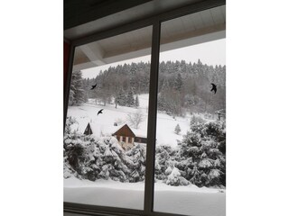 Blick vom Hallenbad in den verschneiten Garten
