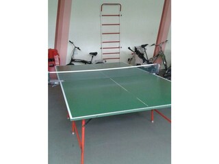Tischtennis - Tisch zur allgemeinen Nutzung