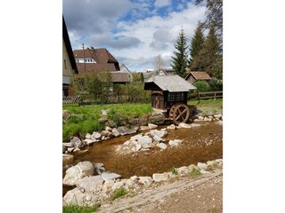 Apartamento de vacaciones Friedenweiler Entorno 35