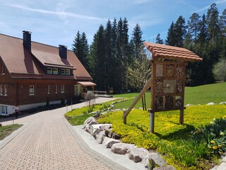 Vakantieappartement Friedenweiler Buitenaudio-opname 7
