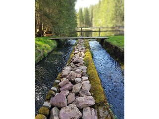 Appartamento per vacanze Friedenweiler Registrazione all'aperto 16