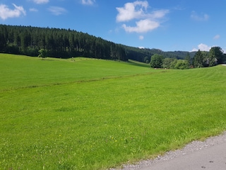 Vakantieappartement Friedenweiler Omgeving 38