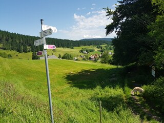 Apartamento de vacaciones Friedenweiler Entorno 34