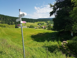 Vakantieappartement Friedenweiler Omgeving 34