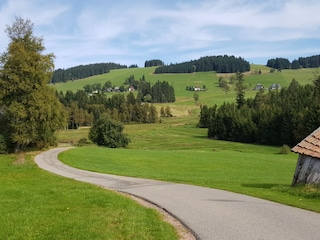 Vakantieappartement Friedenweiler Omgeving 37