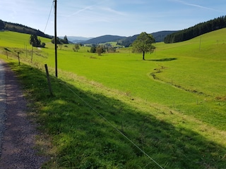 Vakantieappartement Friedenweiler Omgeving 40