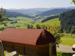 Vakantieappartement Friedenweiler Omgeving 39