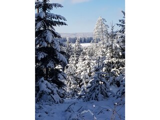 Apartamento de vacaciones Friedenweiler Entorno 30