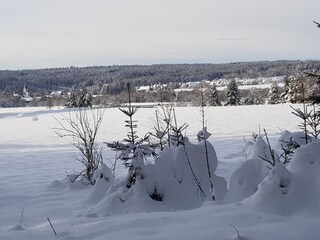 Apartamento de vacaciones Friedenweiler Entorno 31