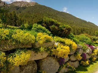 Appartamento per vacanze Telfes im Stubai Registrazione all'aperto 10