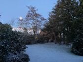 Garten im Winter