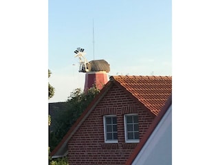 Ferienwohnung Greetsiel  21