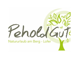 Appartamento per vacanze Lofer Documento 20