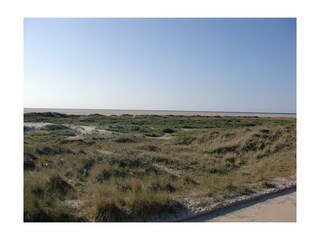 Dünenlandschaft