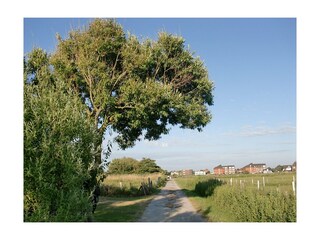 Fuß und Radwege