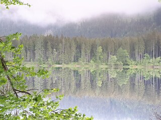 Chalet Bad Mitterndorf Ambiente 23