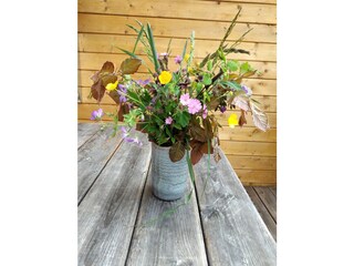 Chalet Bad Mitterndorf Buitenaudio-opname 5