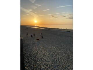 Vakantiehuis Brouwershaven Omgeving 31