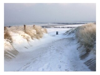 Vakantiehuis Brouwershaven Omgeving 32