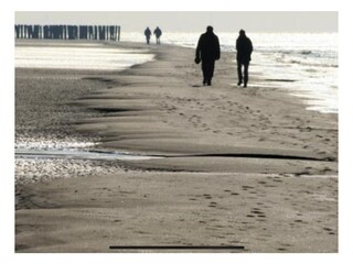 Vakantiehuis Brouwershaven Omgeving 29